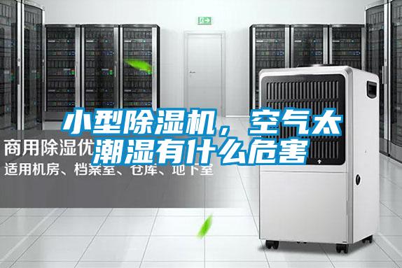 小型除湿机,空气太潮湿有什么危害