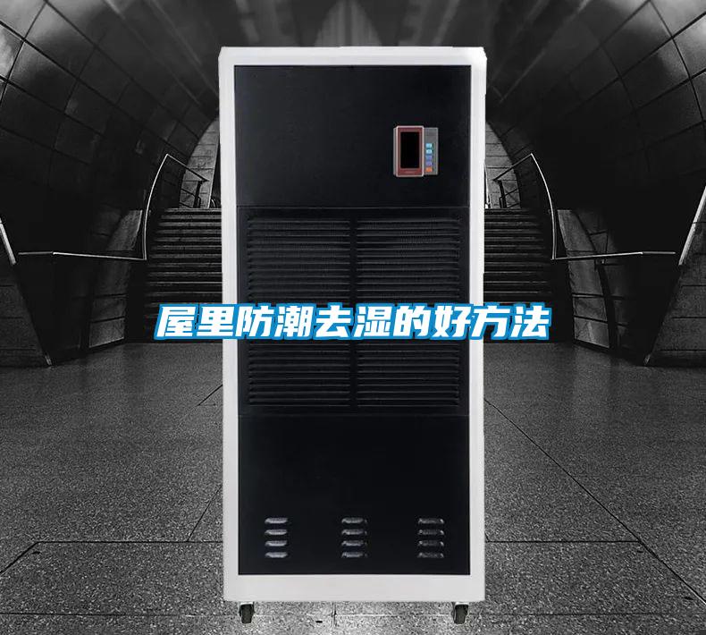 屋里防潮去湿的好方法