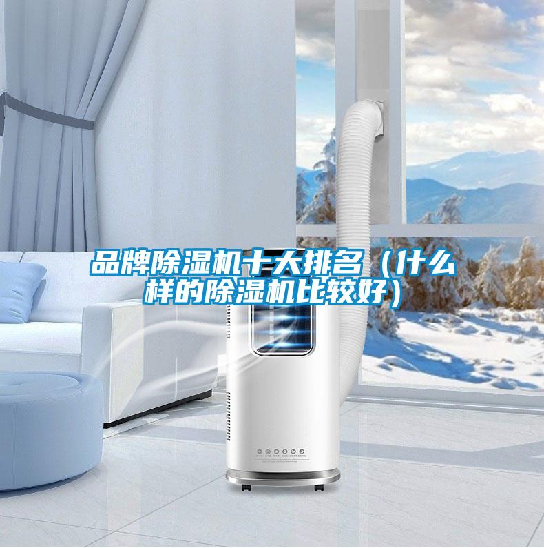 品牌除湿机十大排名(什么样的除湿机比较好)