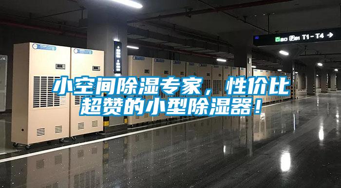 小空间除湿专家,性价比超赞的小型除湿器!