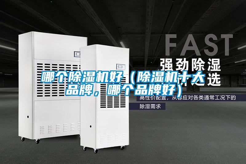 哪个除湿机好(除湿机十大品牌,哪个品牌好)