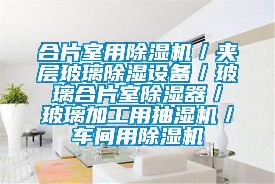 合片室用除湿机/夹层玻璃除湿设备/玻璃合片室除湿器/玻璃加工用抽湿机/车间用除湿机