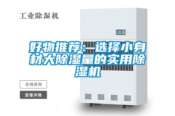好物推荐:选择小身材大除湿量的实用除湿机
