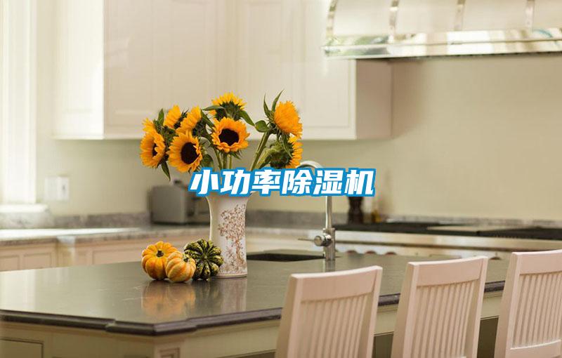 小功率除湿机