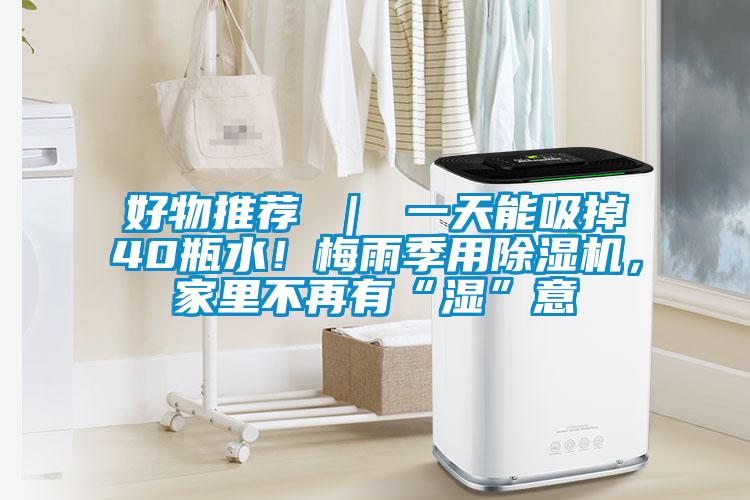 好物推荐 | 一天能吸掉40瓶水!梅雨季用除湿机,家里不再有“湿”意