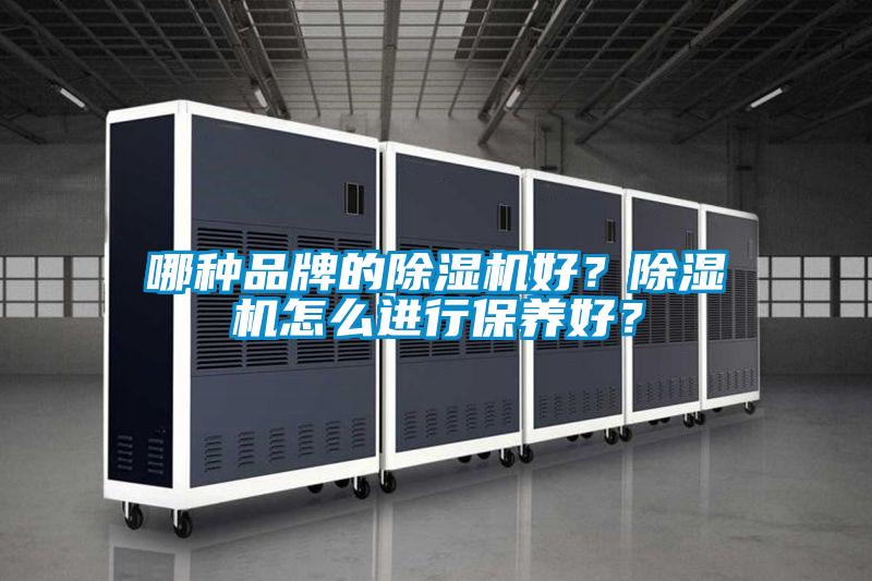 哪种品牌的除湿机好?除湿机怎么进行保养好?
