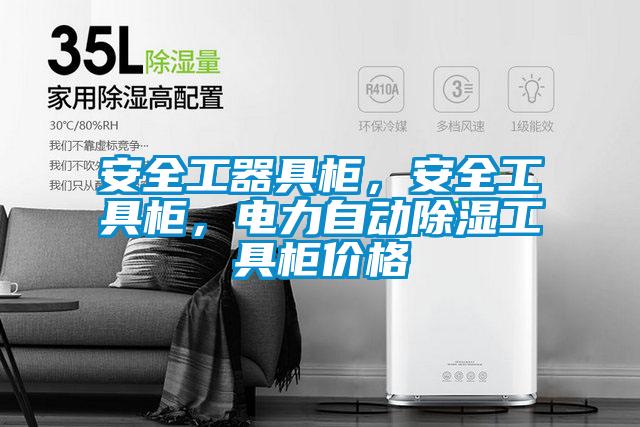 安全工器具柜,安全工具柜,电力自动除湿工具柜价格