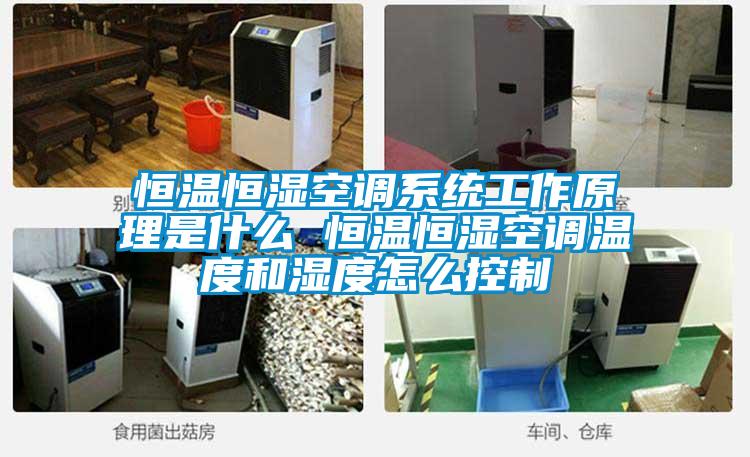 恒温恒湿空调系统工作原理是什么 恒温恒湿空调温度和湿度怎么控制