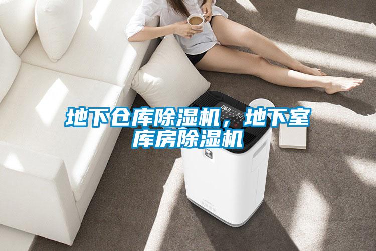 地下仓库除湿机,地下室库房除湿机