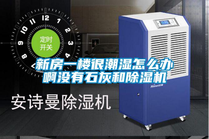 新房一楼很潮湿怎么办啊没有石灰和除湿机