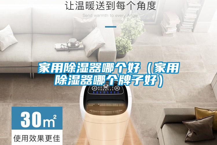 家用除湿器哪个好(家用除湿器哪个牌子好)