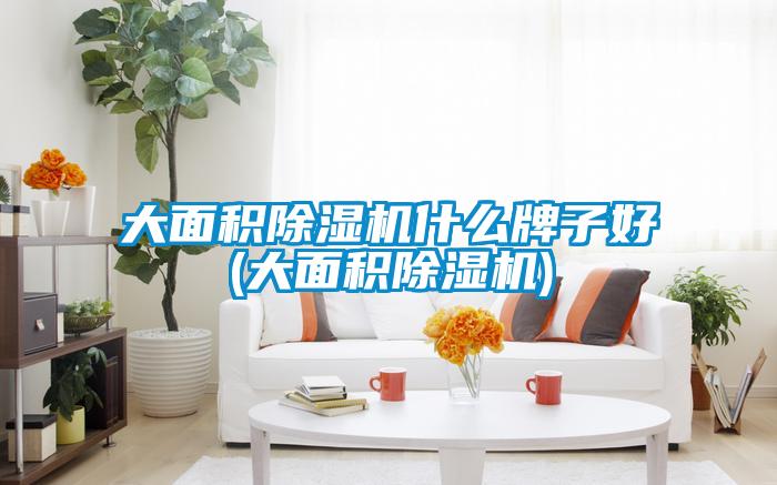 大面积除湿机什么牌子好(大面积除湿机)