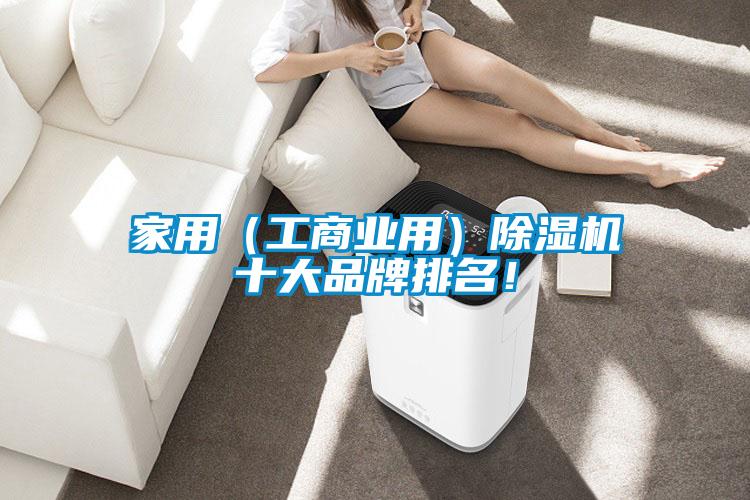 家用(工商业用)除湿机十大品牌排名!