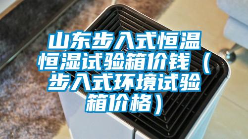 山东步入式恒温恒湿试验箱价钱(步入式环境试验箱价格)