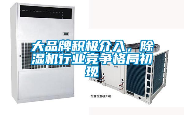 大品牌积极介入,除湿机行业竞争格局初现