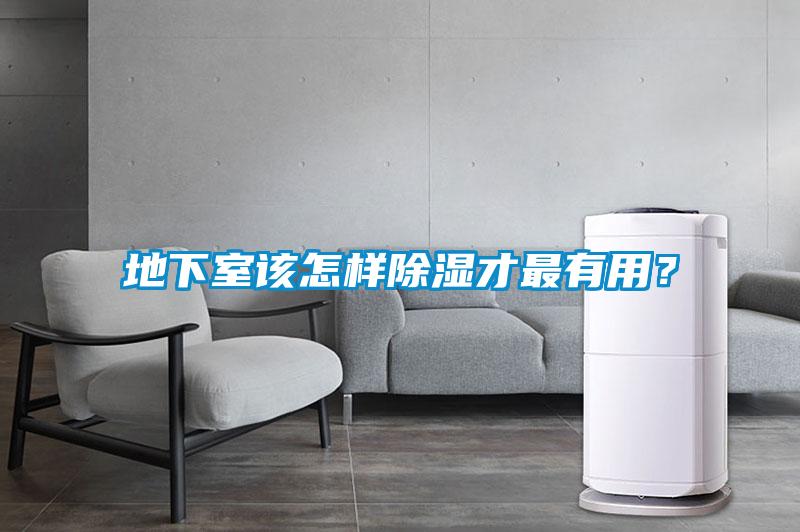地下室该怎样除湿才最有用?