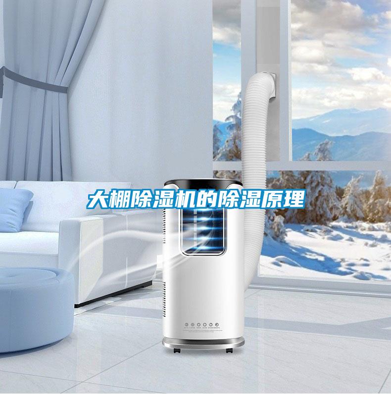 大棚除湿机的除湿原理