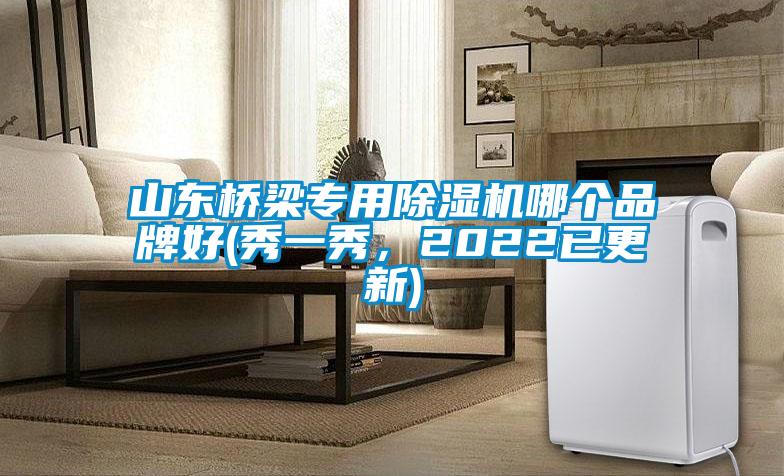 山东桥梁专用除湿机哪个品牌好(秀一秀,2022已更新)