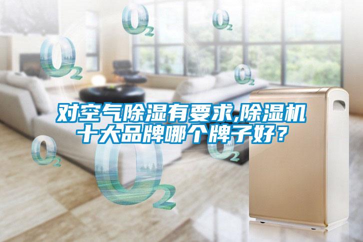 对空气除湿有要求,除湿机十大品牌哪个牌子好?