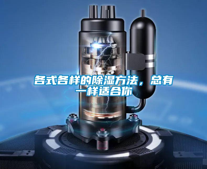 各式各样的除湿方法,总有一样适合你