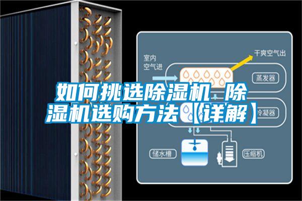 如何挑选除湿机 除湿机选购方法【详解】