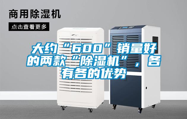大约“600”销量好的两款“除湿机”,各有各的优势