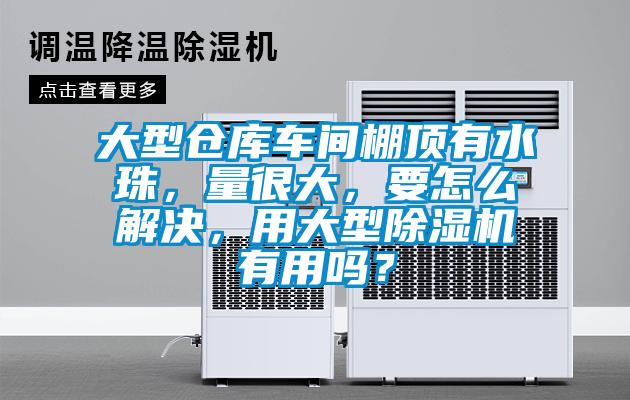 大型仓库车间棚顶有水珠,量很大,要怎么解决,用大型除湿机有用吗?