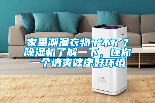 家里潮湿衣物干不了?除湿机了解一下,还你一个清爽健康好环境