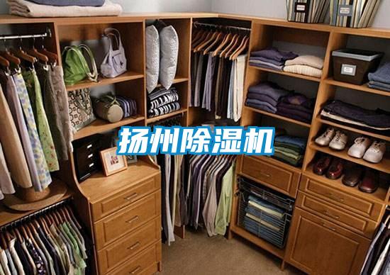 扬州除湿机