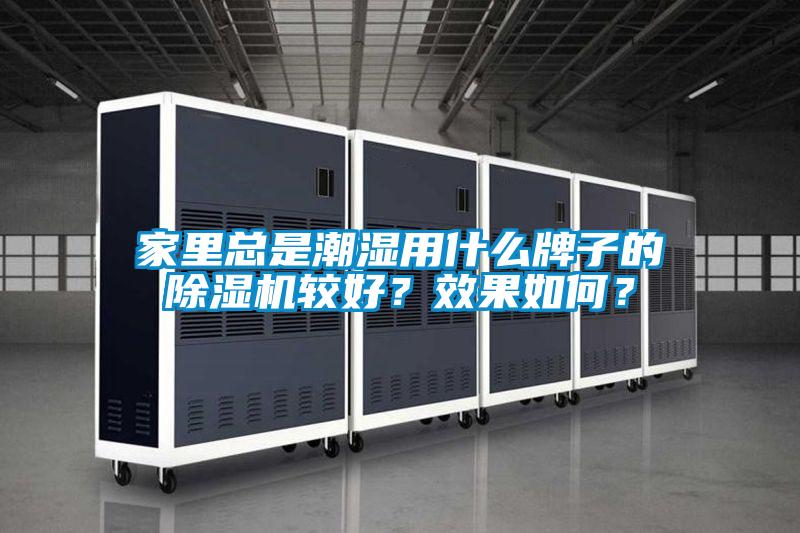 家里总是潮湿用什么牌子的除湿机较好？效果如何？