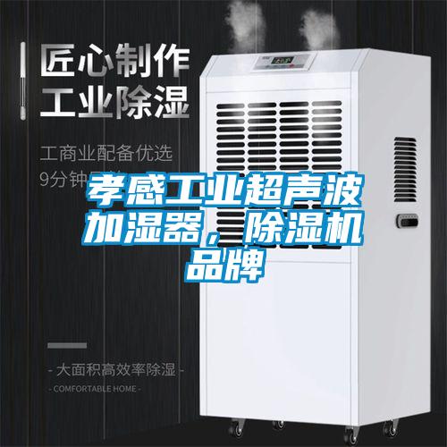 孝感工业超声波加湿器,除湿机品牌