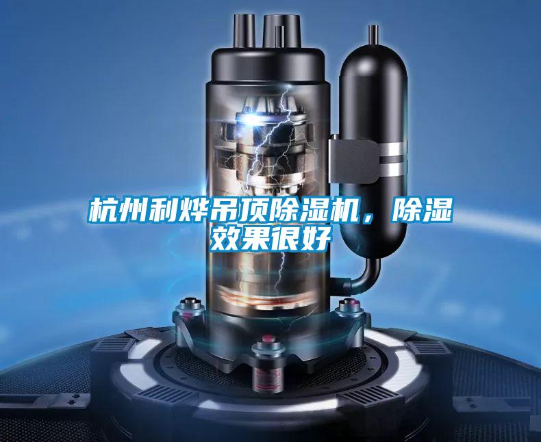 杭州利烨吊顶除湿机,除湿效果很好