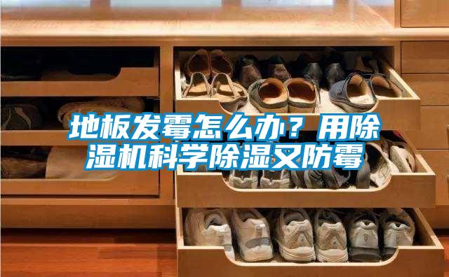 地板发霉怎么办?用除湿机科学除湿又防霉