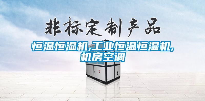 恒温恒湿机,工业恒温恒湿机,机房空调