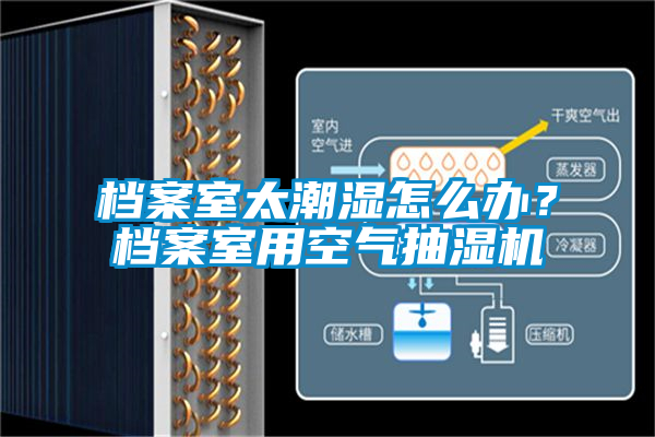 档案室太潮湿怎么办?档案室用空气抽湿机