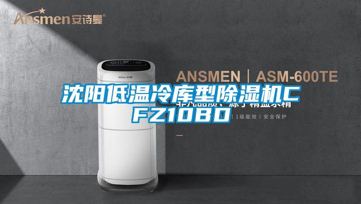 沈阳低温冷库型除湿机CFZ10BD