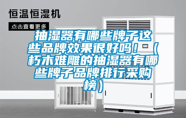 抽湿器有哪些牌子这些品牌效果很好吗!(朽木难雕的抽湿器有哪些牌子品牌排行采购榜)