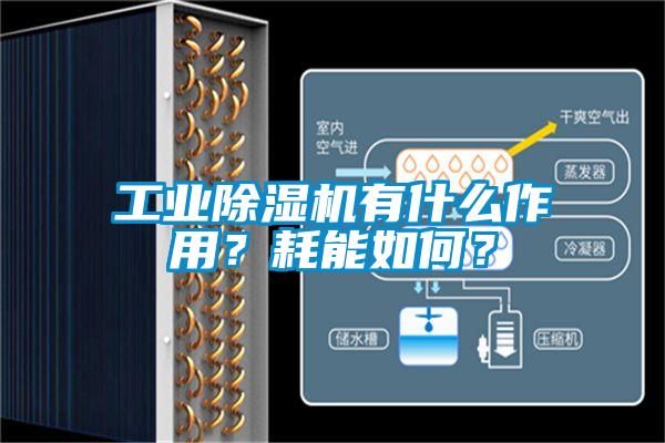工业除湿机有什么作用?耗能如何?