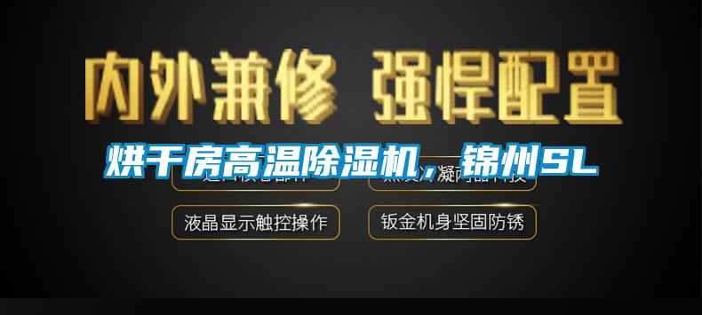 烘干房高温除湿机,锦州SL