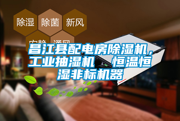 昌江县配电房除湿机,工业抽湿机 恒温恒湿非标机器