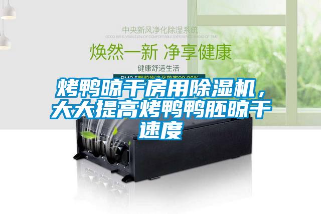烤鸭晾干房用除湿机,大大提高烤鸭鸭胚晾干速度