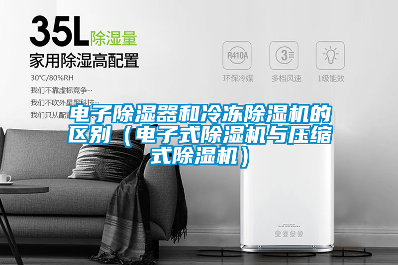 电子除湿器和冷冻除湿机的区别(电子式除湿机与压缩式除湿机)