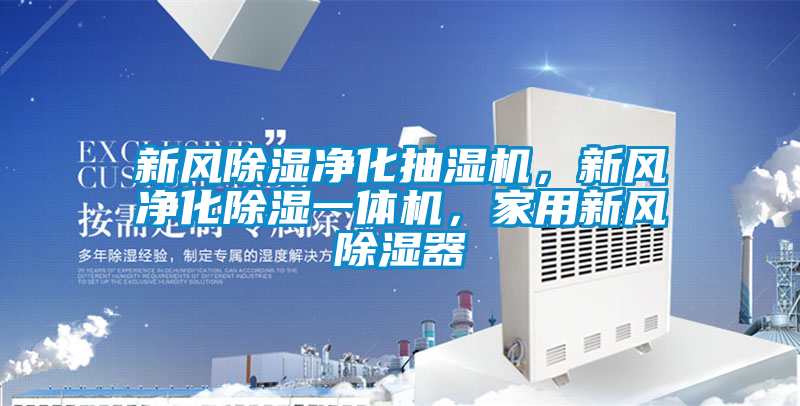新风除湿净化抽湿机,新风净化除湿一体机,家用新风除湿器