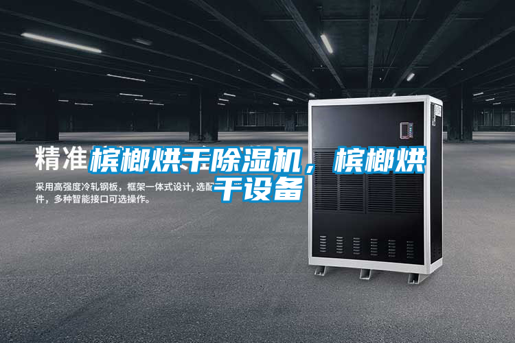 槟榔烘干除湿机,槟榔烘干设备