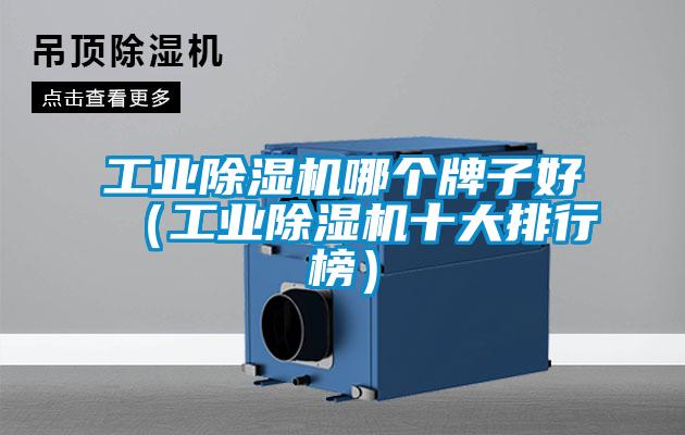 工业除湿机哪个牌子好(工业除湿机十大排行榜)