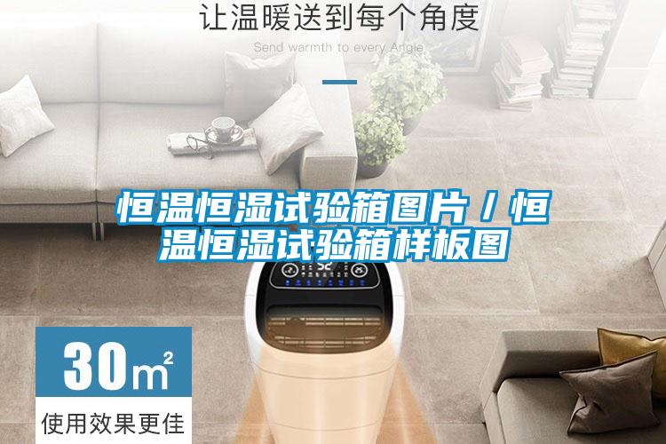 恒温恒湿试验箱图片/恒温恒湿试验箱样板图