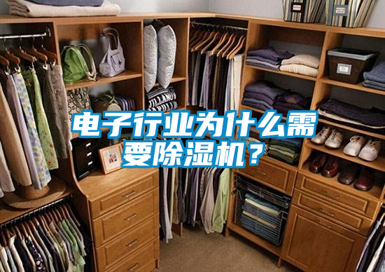 电子行业为什么需要除湿机?