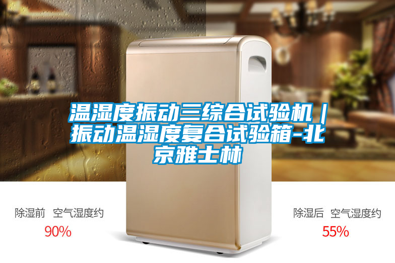 温湿度振动三综合试验机|振动温湿度复合试验箱-北京雅士林