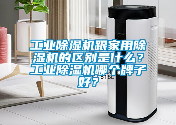 工业除湿机跟家用除湿机的区别是什么?工业除湿机哪个牌子好?