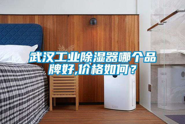 武汉工业除湿器哪个品牌好,价格如何?